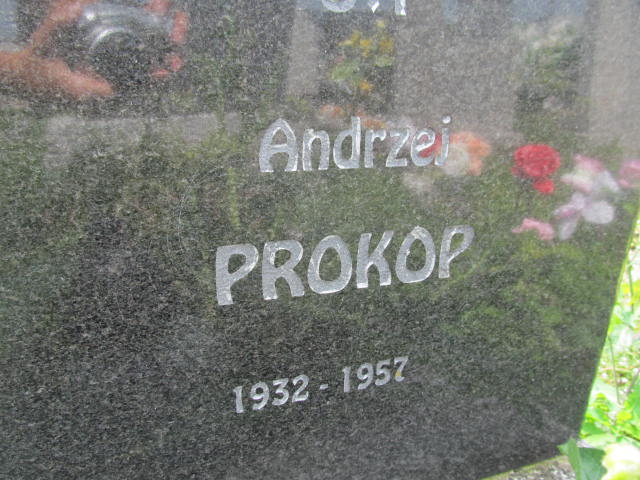 Andrzej Prokop 1931 Miętustwo - Grobonet - Wyszukiwarka osób pochowanych